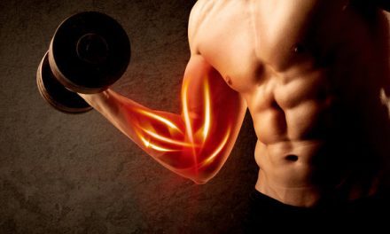 Muscle Building Tips