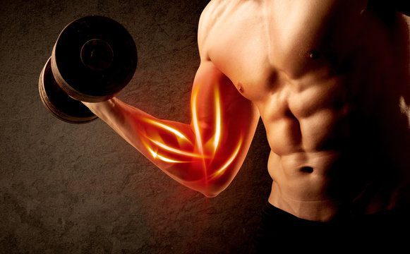 Muscle Building Tips