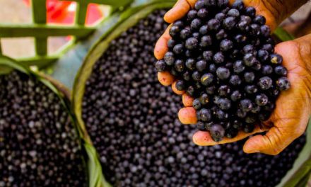 Acai Berry and Weight Loss