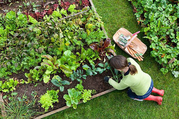Woman Threatened for Growing Vegetables at Home