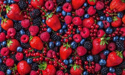 Berries help fight Parkinson’s new study finds