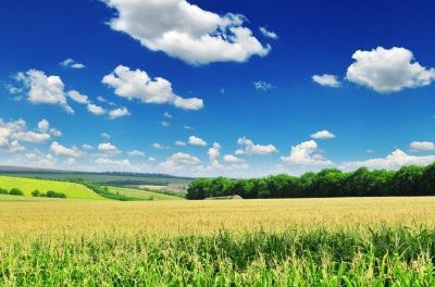 The Truth about Monsanto