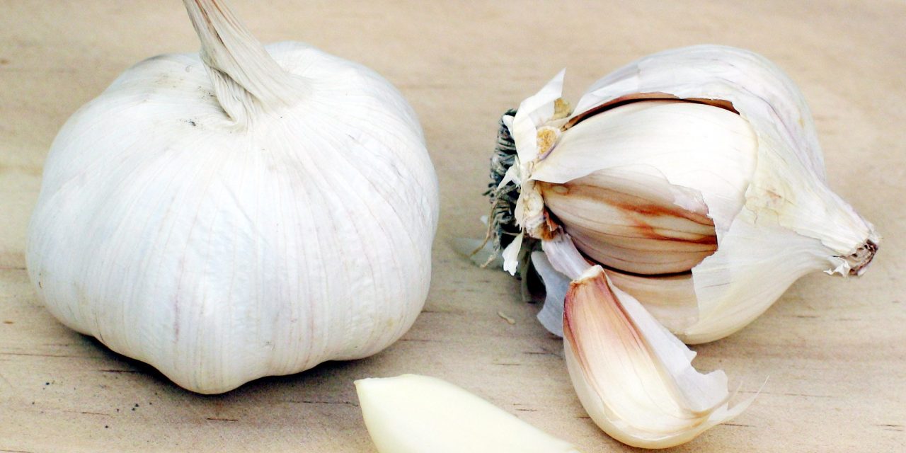 The wonders of Garlic