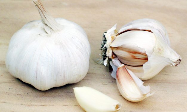 The wonders of Garlic