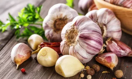 Garlic Health Benefits