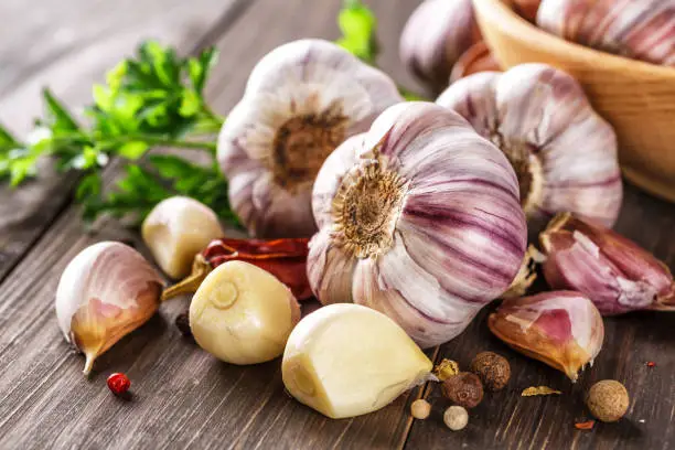 Garlic Health Benefits