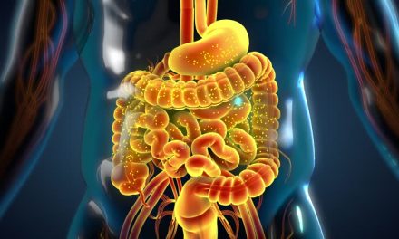 Digestive Enzyme Facts
