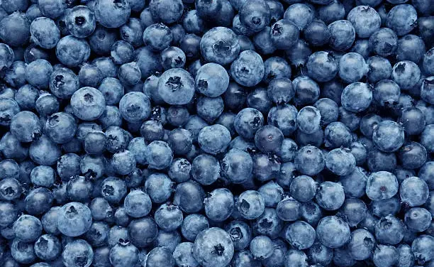 Blueberries are Great for Students Memory