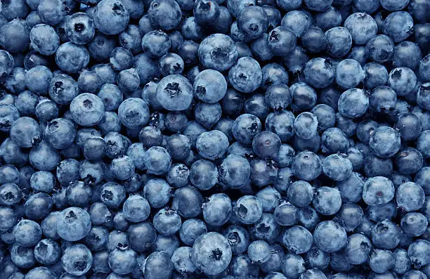Blueberries Great for Students Memory