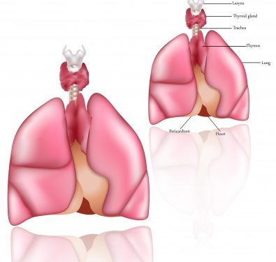 Facts on Hypothyroidism