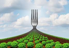 farm-to-fork, local food, sustainable agriculture, organic farming, food supply chain, community farming, fresh produce, local sourcing, food miles, farmers market, agribusiness, food security, healthy eating, traceability, eco-friendly, regenerative farming, ethical sourcing, soil health, seasonal produce, food transparency, slow food, local economy, sustainability, farm fresh, direct from farm, food distribution, small farms, rural development, sustainable living, community supported agriculture, organic produce, food production, climate-friendly, biodiversity, agricultural innovation, food systems, healthy lifestyle, environmental stewardship, local cuisine, food awareness, green farming, nutrition, waste reduction, food policy, agricultural sustainability, food trace, carbon footprint, local partnerships, fresh ingredients, natural farming, organic food