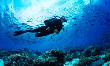 Part 1 Break into Scuba Diving this Spring