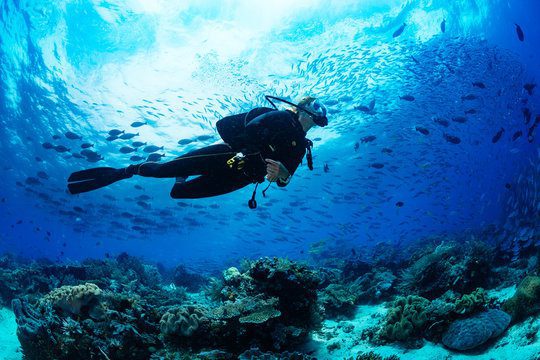 Part 1 Break into Scuba Diving this Spring