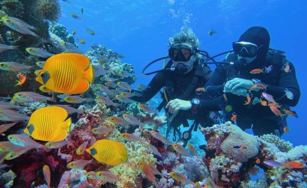 Part 2 Break into Scuba Diving this Spring