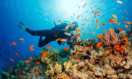 Part 3 Break into Scuba Diving this Spring