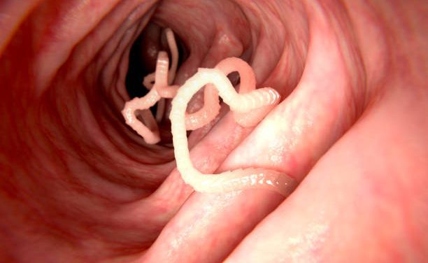 Beware intestinal parasites