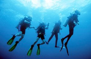 scuba diving, open water, advanced open water, nitrox, enriched air, PADI, SSI, NAUI, CMAS, dive certification, dive gear, regulator, BCD, wetsuit, drysuit, fins, mask, snorkel, dive computer, dive watch, depth gauge, SPG, buoyancy control, neutral buoyancy, trim, frog kick, air consumption, SAC rate, buddy system, dive planning, dive tables, no decompression limit, decompression stop, safety stop, ascent rate, underwater navigation, compass, dive boat, liveaboard, drift dive, night dive, wreck diving, cave diving, cavern diving, deep diving, underwater photography, macro photography, wide angle, marine life, coral reef