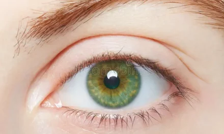 Maintain Your Happy and Healthy Eyes