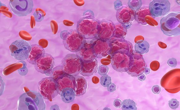 Is Homosexuality Caused By BPA Bisphenol-A?