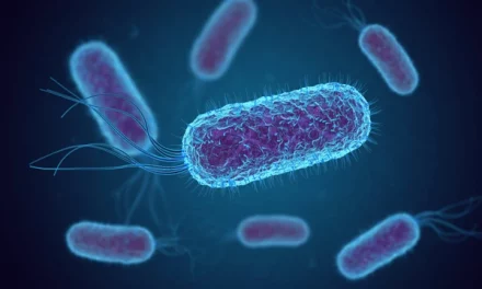 E Coli virus