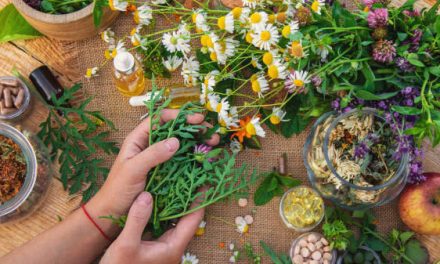 Wonderful herbal aids To Get You To Sleep Faster