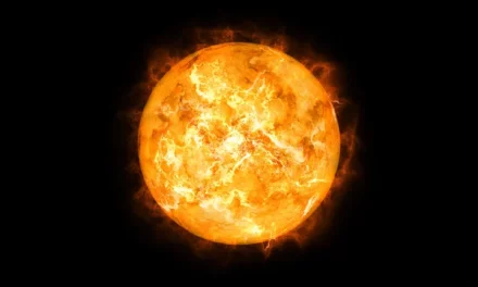 The Healthy Power Of The Sun