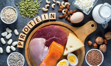 Top 8 Sources Of Protein