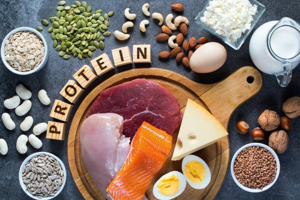 Top 8 Sources Of Protein