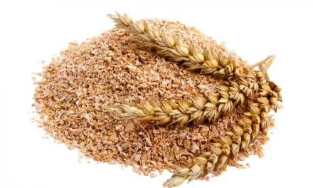 Why Bran Is Good For You