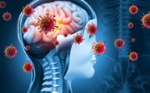 meningitis, bacterial meningitis, viral meningitis, aseptic meningitis, fungal meningitis, tuberculous meningitis, meningococcal disease, pneumococcal meningitis, Haemophilus influenzae, Listeria monocytogenes, neonatal meningitis, enteroviruses, HSV-2, VZV, cryptococcal meningitis, HIV-associated, fever, severe headache, neck stiffness, photophobia, altered mental status, seizures, petechial rash, Brudzinski sign, Kernig sign, lumbar puncture, CSF analysis, opening pressure, neutrophilic pleocytosis, lymphocytic pleocytosis, CSF PCR, Gram stain, blood cultures, head CT before LP (select cases), empiric antibiotics, ceftriaxone, vancomycin, ampicillin (Listeria coverage), dexamethasone, droplet precautions, chemoprophylaxis, rifampin, ciprofloxacin, ceftriaxone (contacts), complications, hearing loss, hydrocephalus, SIADH, vaccination, MenACWY, MenB, PCV13/PCV20, Hib