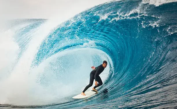 Surfing The Fitness Waves