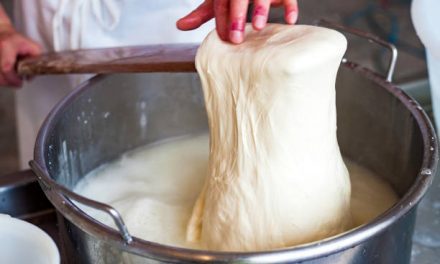 How to make MOZZARELLA cheese