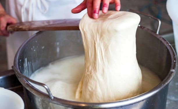 How to make MOZZARELLA cheese