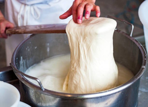 How to make MOZZARELLA cheese