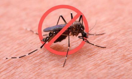Dengue Fever