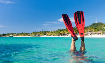 How to Use Fins Underwater the Right Way