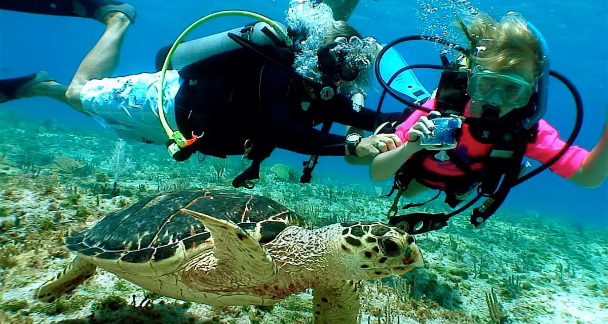 Diving With Kids and Teenagers