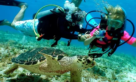Diving With Kids and Teenagers
