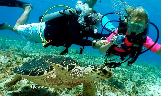 Diving With Kids and Teenagers