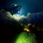 Night Diving – A Different World