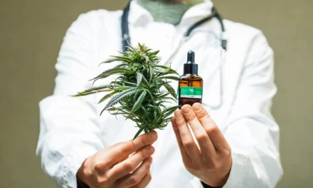 The Cannabis Cure for Cancer