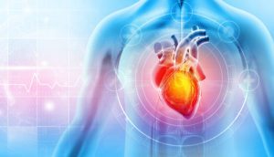 angina pectoris, stable angina, unstable angina, variant angina, Prinzmetal angina, microvascular angina, chest pain, exertional chest pressure, jaw/arm radiation, dyspnea, diaphoresis, nausea, ST depression, T-wave inversion, normal troponin, coronary artery disease, atherosclerosis, plaque rupture, coronary vasospasm, endothelial dysfunction, hypertension, hyperlipidemia, diabetes, smoking, obesity, sedentary lifestyle, family history, advanced age, stress test, exercise treadmill test, myocardial perfusion imaging, coronary CT angiography, coronary angiography, fractional flow reserve, nitroglycerin, beta blockers, calcium channel blockers, long-acting nitrates, ranolazine, antiplatelet therapy, aspirin, statins, ACE inhibitors, lifestyle modification, cardiac rehabilitation, percutaneous coronary intervention, drug-eluting stent, coronary artery bypass grafting, risk stratification, symptom monitoring