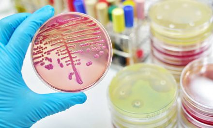 Fungal Meningitis Outbreak Still Going Six Month Later