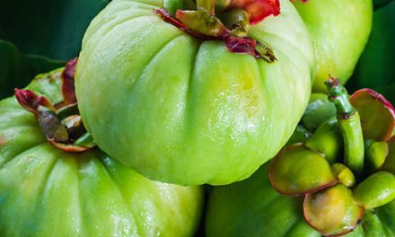 Garcinia Cambogia Extract – Miracle Weight Loss Food