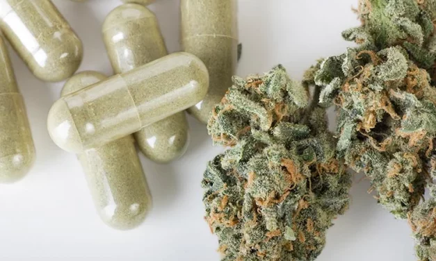 Medical Marijuana And Dravet Syndrome