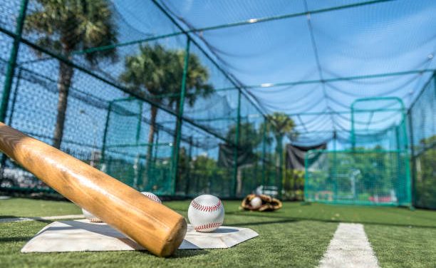 Baseball Training Workouts