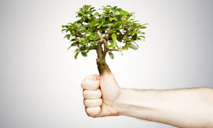 The Health Benefits of a Green Thumb