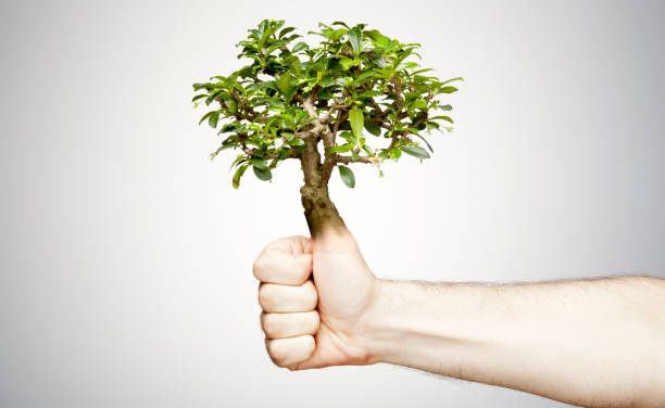 The Health Benefits of a Green Thumb