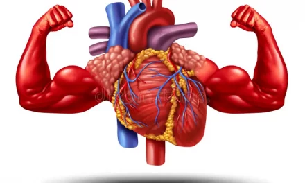 Exercises For A Healthy Heart