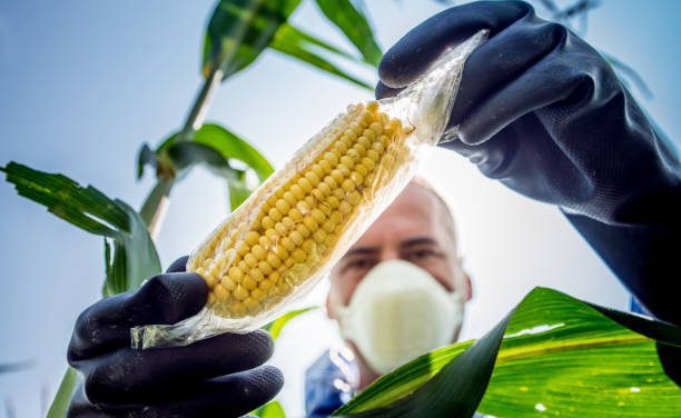 GMO Update: Victory!